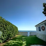 Altair Fox E Sali-monte Agumu
