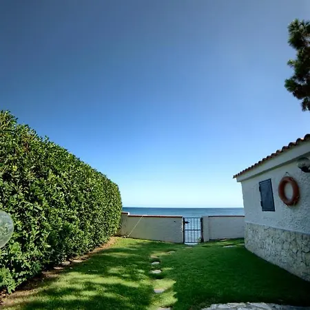 Altair Fox E Sali-monte Agumu