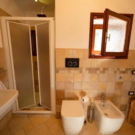 Altair * Fox E Sali-monte Agumu