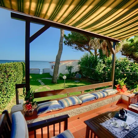 Altair Fox E Sali-monte Agumu