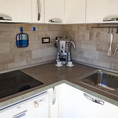 Altair * Fox E Sali-monte Agumu